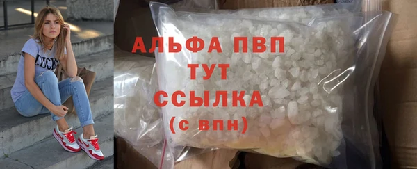 мяу мяу мука Абаза