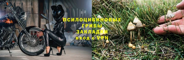 не бодяженный Семилуки