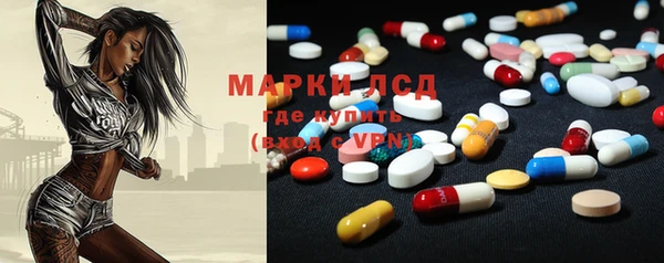 мяу мяу мука Абаза