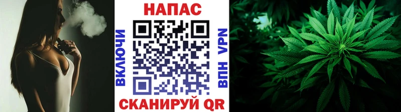 Конопля AK-47  Алзамай 
